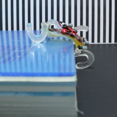 Bilkent Minyatür Robotik Laboratuvarının esnek minyatür robotu SQuad haberlerde
